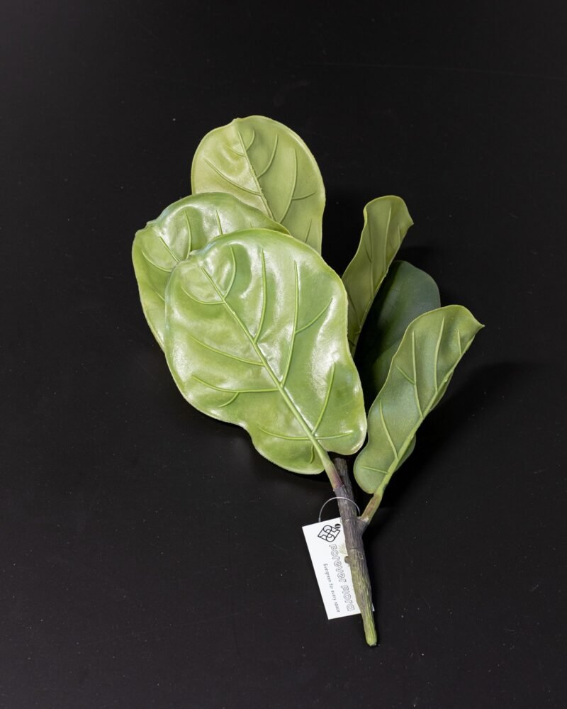 Konstväxt Fiolfikus bukett - 40x26 cm - Bild 3