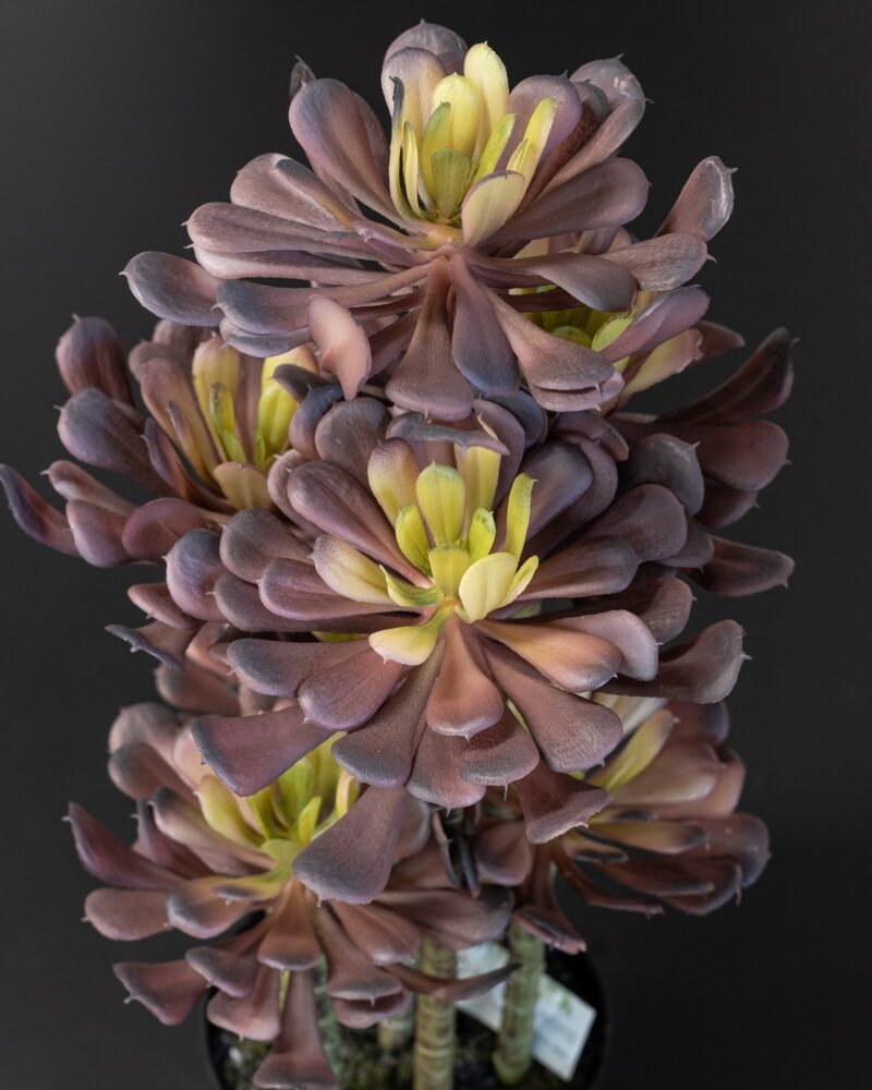 Konstgjord Lotus krukväxt lila Melaminkruka - 7 stam - 53 cm Höjd - Bild 3