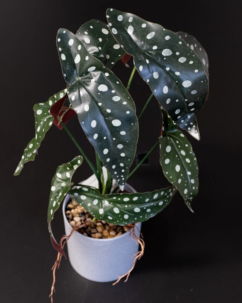 Konstgjord begonia Krukväxt - 45 cm Höjd - Bild 4