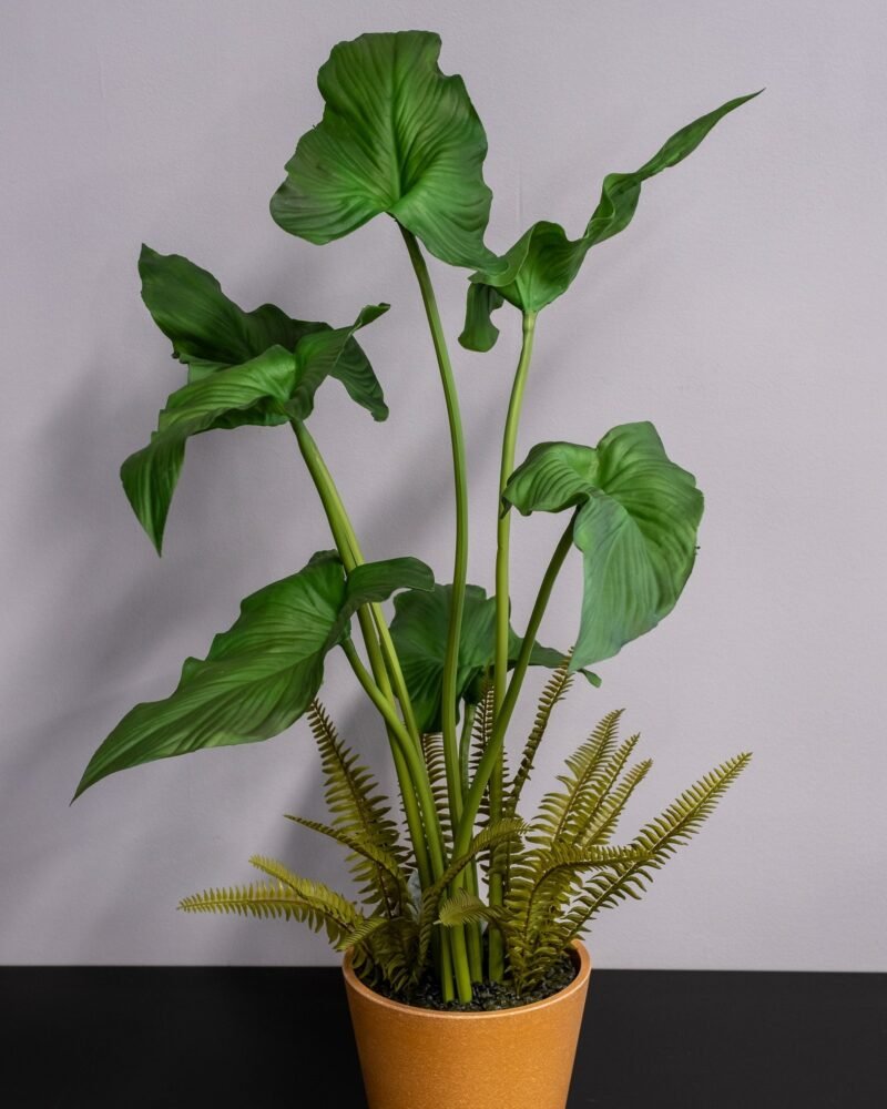 Konstgjord Alocasia cucullata krukväxt – 75 cm - Bild 4