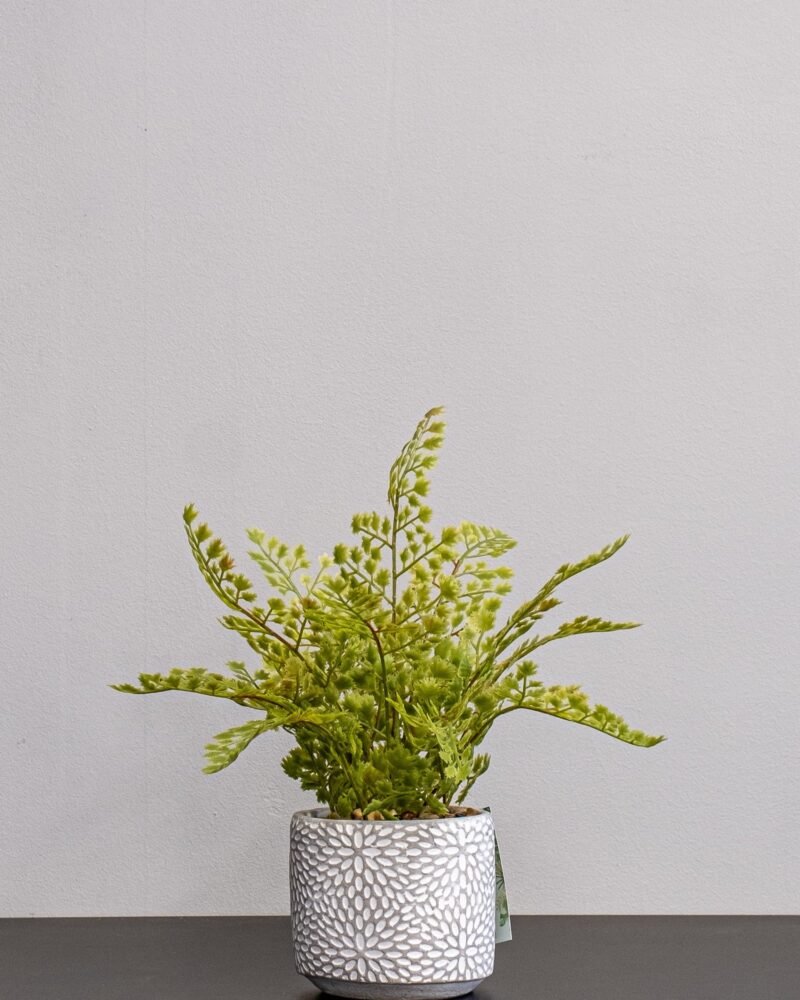 Konstgjord Ormbunke med Cementkruka - 37 cm Höjd - Bild 2