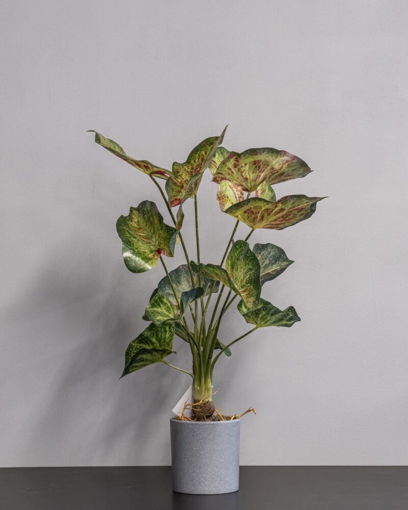 Konstgjord Caladium krukväxt - 60 cm