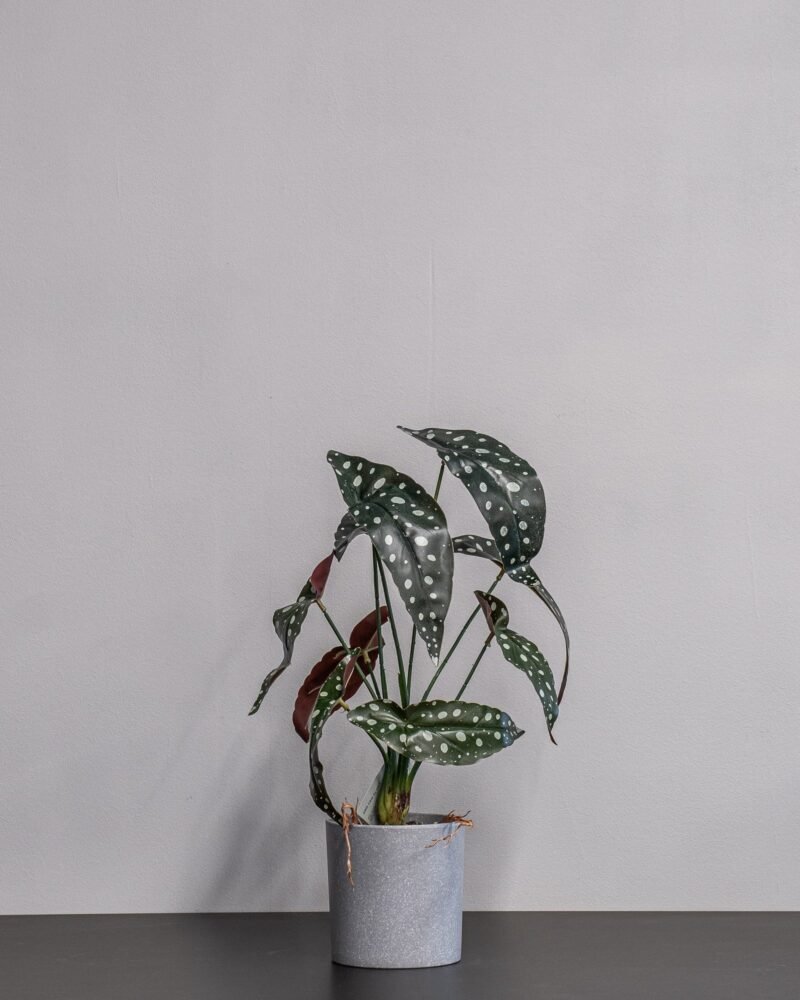 Konstgjord begonia Krukväxt - 45 cm Höjd