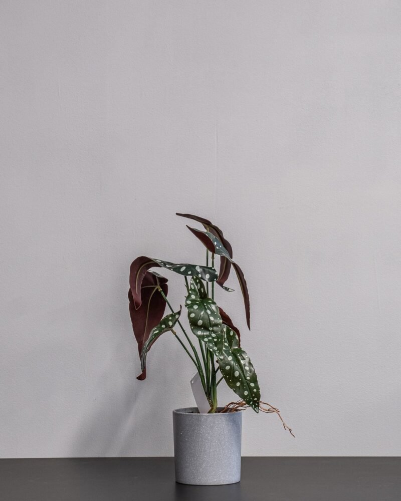 Konstgjord begonia Krukväxt - 45 cm Höjd - Bild 3