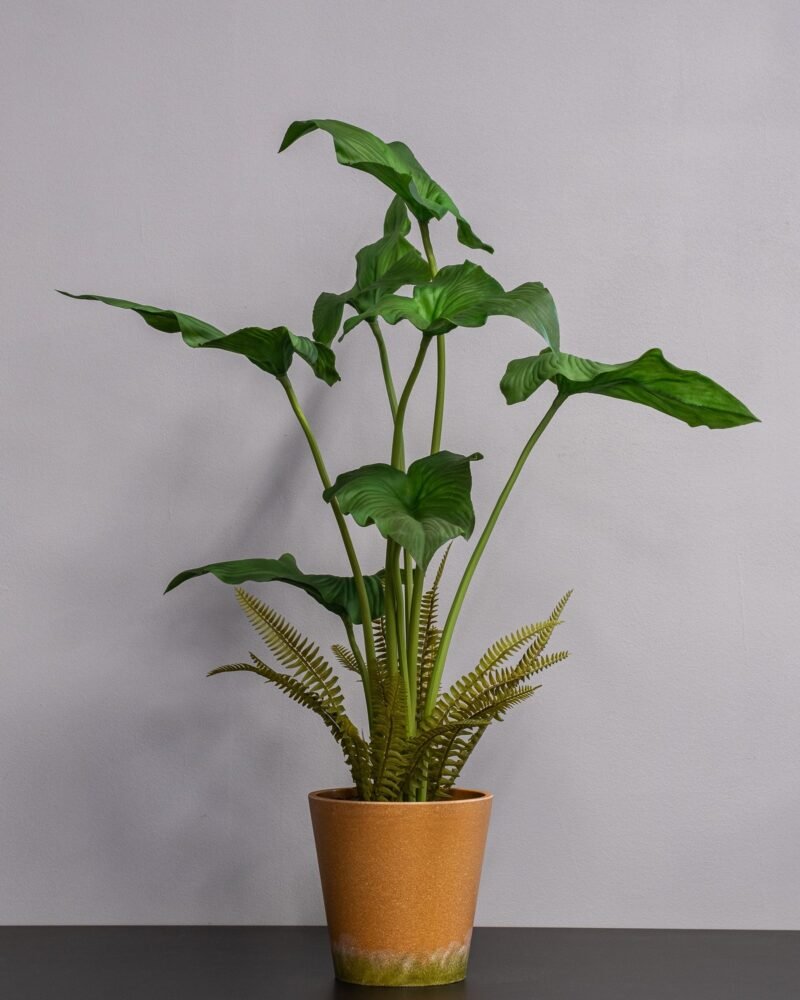 Konstgjord Alocasia cucullata krukväxt – 75 cm - Bild 2