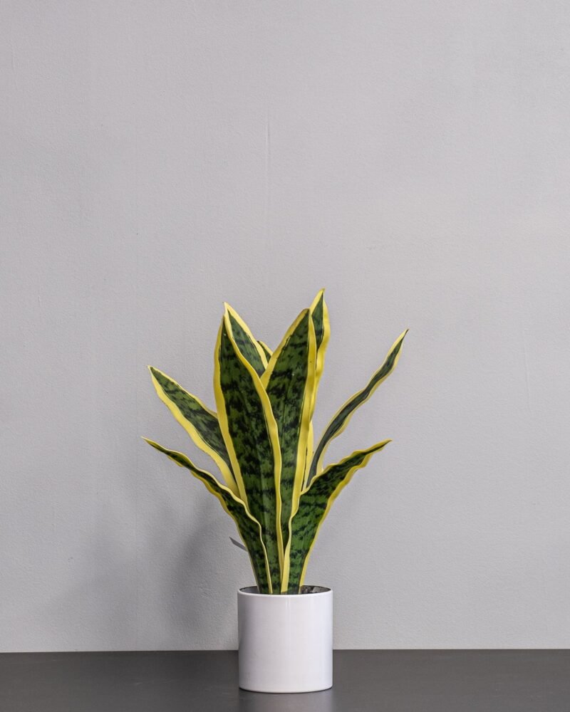 Konstgjord Sansevieria i Keramik kruka – 40 cm - Bild 2