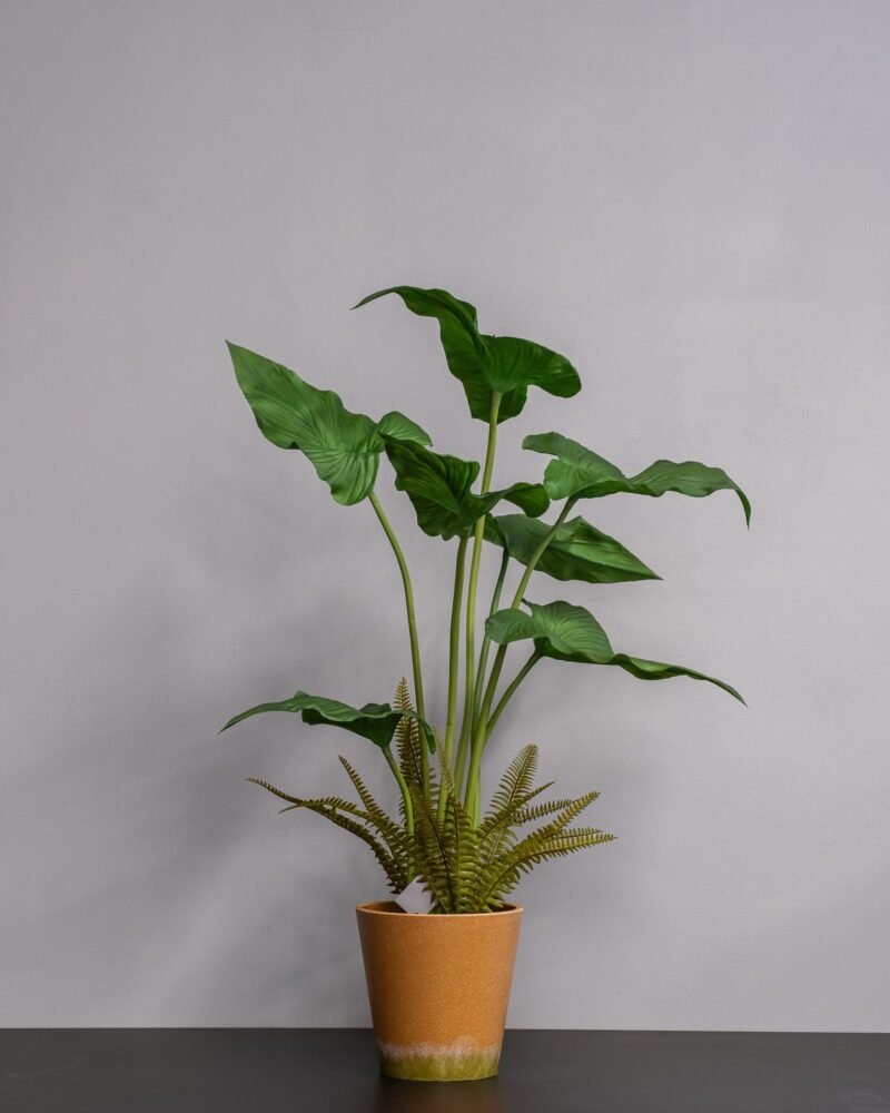 Konstgjord Alocasia cucullata krukväxt – 75 cm - Bild 3