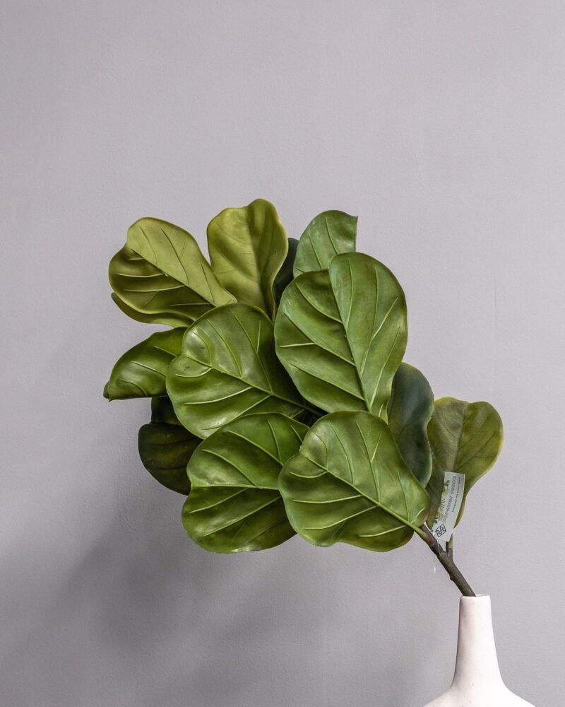 Konstväxt Fiolfikus bukett - 60x30 cm Naturtroget Bladverk - Bild 2
