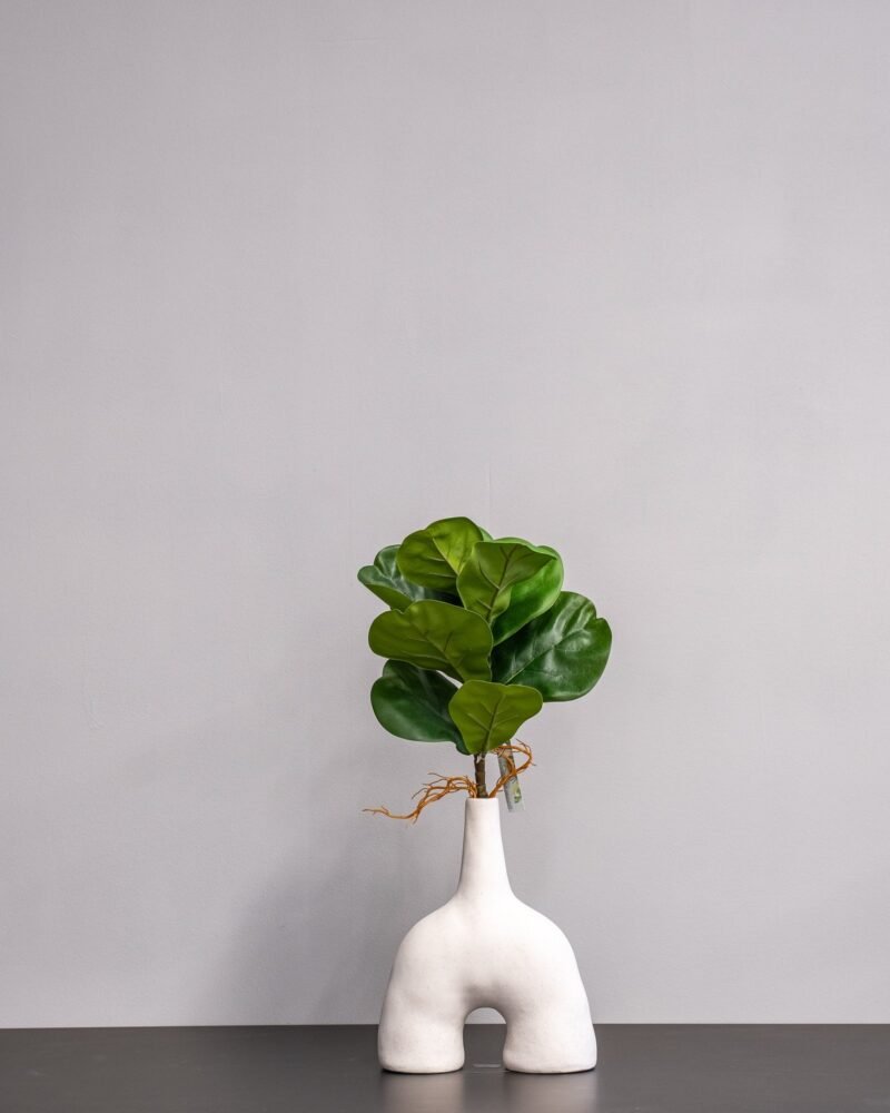 Konstväxt Fiolfikus bukett - 32x20 cm Flexibel Växtdekoration