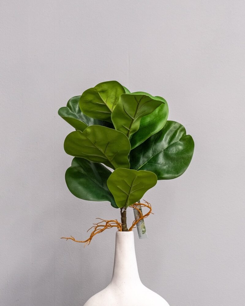 Konstväxt Fiolfikus bukett - 32x20 cm Flexibel Växtdekoration - Bild 2