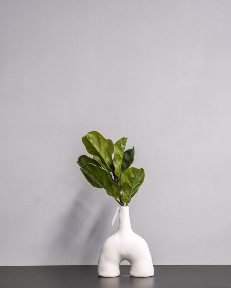 Konstväxt Fiolfikus bukett - 40x26 cm