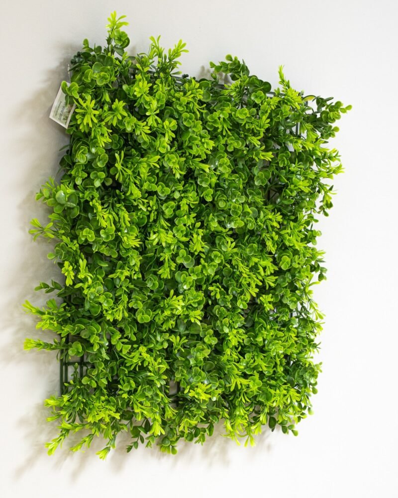 Konstgjord växtvägg Eukalyptus 50x50 cm UV - Bild 4