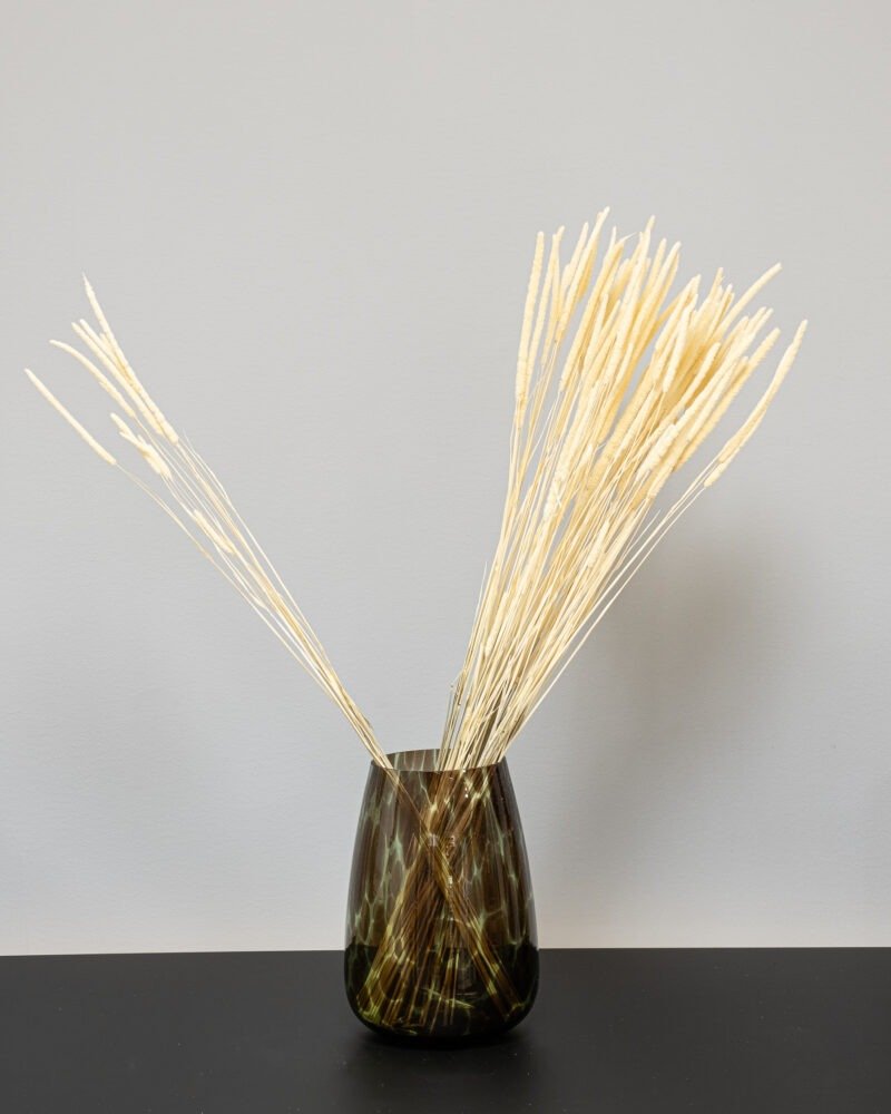 Phleum Blekt Vit - Torkade Blommor - Bild 5