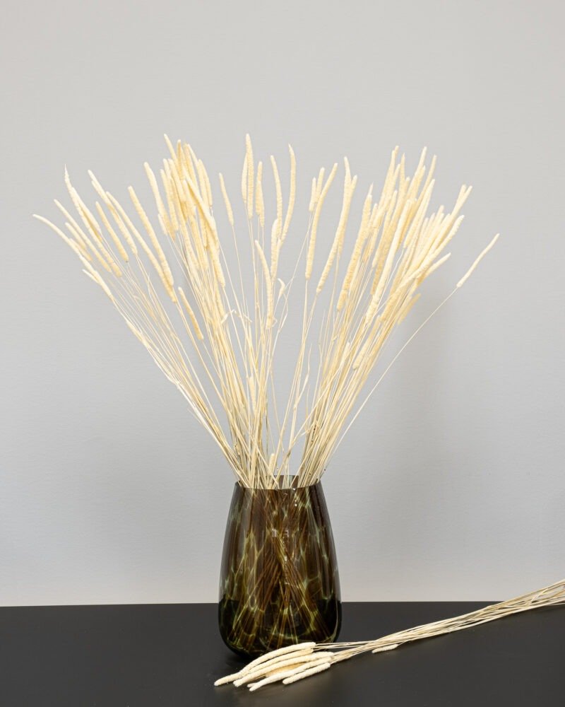 Phleum Blekt Vit - Torkade Blommor - Bild 4